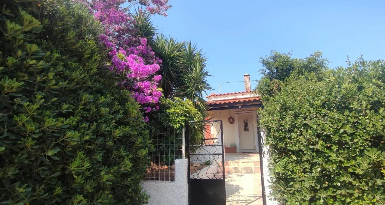 Olive Grove Cottage Skalani Knossós Exterior foto